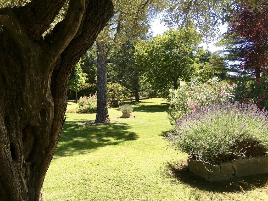 Villa Mas St Jean Noves Exteriör bild